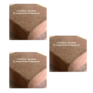 Cocopeat issu de poudre de fibre de noix de coco, transformé en substrat pour pépinières, mélanges de sol et systèmes hydroponiques. - Product Image 4