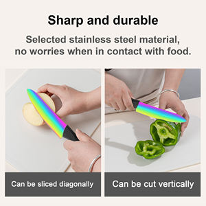 Couteau à viande en céramique à livraison rapide, lame tranchante pour un usage quotidien en cuisine, prix d'usine, fabrication artisanale, manche en plastique commercial - Product Image 6