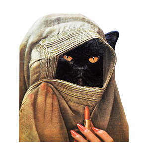 Collage de impresiones A4 - Gatos 21x29.7cm - Collage sarcástico - Product Image 5