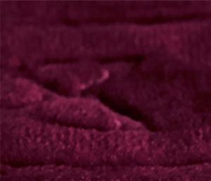 Alfombra de Oración Plegable Antideslizante Gruesa Teñida Personalizada de Alta Calidad con Espuma en Relieve - para Uso en Exteriores, Venta al por Mayor Directa de Fábrica - Product Image 3