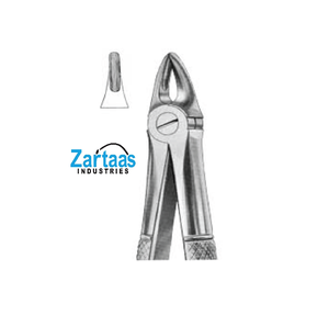 Pince d'extraction en acier inoxydable de haute qualité racines supérieures fig. 29S exportateurs et fabricant - Product Image 4