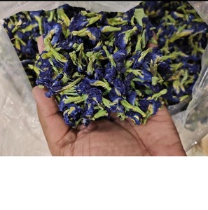 ดอกกระเพาะผีเสื้อพรีเมียม |   สีน้ำเงินเข้ม |   ส่งออกขายส่งจากอินเดีย - Product Image 4