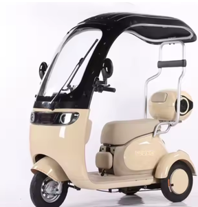 สกูตเตอร์สามล้อไฟฟ้า - Product Image 6