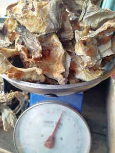 El Mejor Pescado Congelado IQF con 12 Meses de Vida Útil a Granel y Económico - Product Image 5