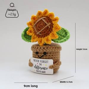 Maceta de Flores de Ganchillo Personalizable y al por Mayor, Directo de Fábrica, para Decoración de Aulas para Estudiantes - Product Image 4