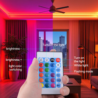 Bande lumineuse LED flexible 5M 12V avec télécommande, étanche IP65, lumière néon RGB 3535 108 LEDS pour décoration extérieure