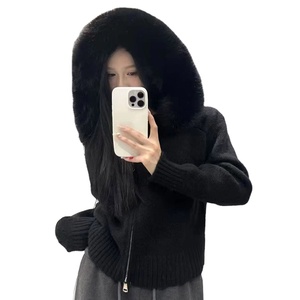 Femmes Vintage revers veste manteau 2025 automne nouveau à la mode Simple polyvalent fourrure artificielle effet fermeture éclair - Product Image 3