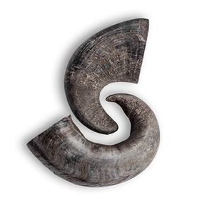 NHE Overseas Premium Buffalo Horn trata alimentos naturales saludables para perros y masticables energéticos para mascotas hechos en la India - Product Image 1