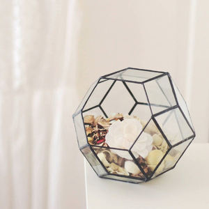 Qualité supérieure Vintage nouveauté verre clair noir enduit décoration de table jardin succulente mousse verre Vase Terrarium déco - Product Image 3