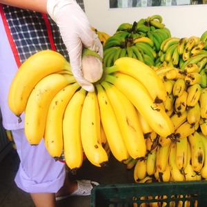 Snacks de légumes séchés, fruits secs, bananes séchées moelleuses pour utilisation directe, bananes séchées moelleuses pour la vente en gros en supermarché - Product Image 3