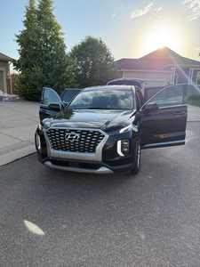 Hyundai Palisade 2021, Bien Cuidado y Limpio - Product Image 2