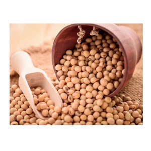 Bán buôn Hữu Cơ đậu nành/Đậu Nành Đậu/đậu nành có sẵn trực tiếp từ Mỹ - Product Image 6
