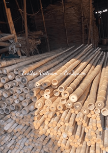 Buen precio en Vietnam postes de bambú para la venta/postes de bambú grandes/cañas de pescar de bambú por Eco2go Vietnam - Product Image 2