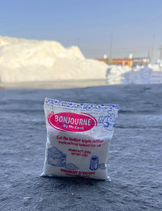 Sel de table raffiné en poudre Bonjorno pour la restauration, assaisonnement de luxe pour chef à domicile, sac en vrac de 250g, pureté 99%, iode en option - Product Image 5