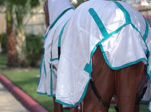 Nuevo 100% personalizado Premium multiusos carrera uso caballo alfombra invierno impermeable secado rápido ligero con piel de lana de poliéster - Product Image 6