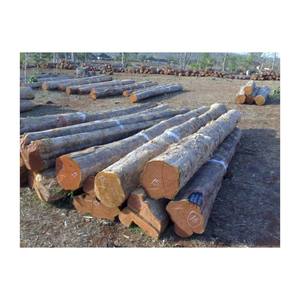 LA MADERA ASERRADA DE ACACIA MÁS BARATA Y DE ALTA CALIDAD DE VIETNAM - Product Image 5