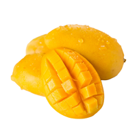 Premium verse mango uit Vietnam - Exportkwaliteit klasse 1 met concurrerende prijs