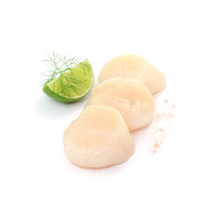 Fresh and Frozen Sashimi-Grade Scallop Meat Dried <b>Shellfish</b> - Product Image 5