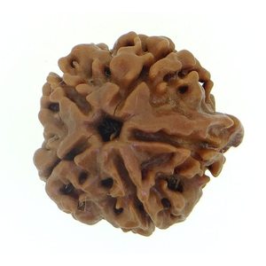 NOVAMART Fine Genuine Nepali Rudraksha 5 Mukhi Ganesh JI <b>Beaded</b> <b>Bracelets</b> for Gifts Wood & Quartz Accented Wholesale Export - Product Image 3