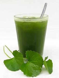 Purée de jus d'ombelle naturelle de qualité supérieure prête à boire Norme d'exportation de qualité congelée - Product Image 4