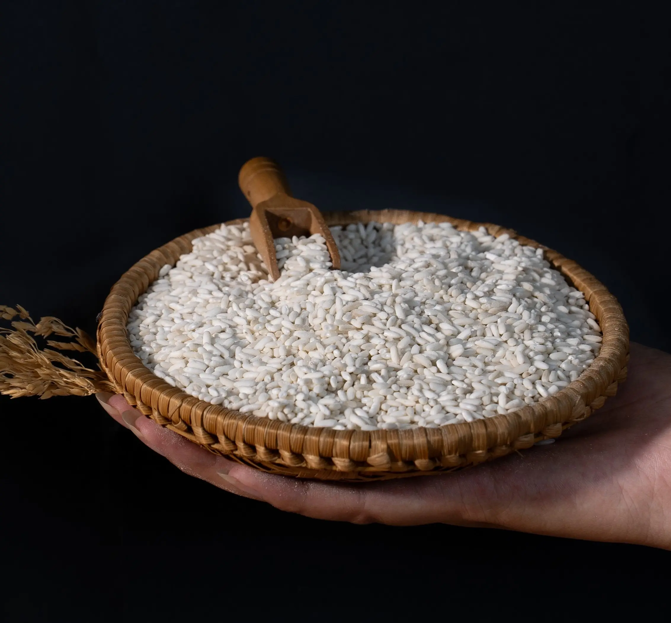 Low MOQ Vietnam glutinous rice 100% broken rice with most reasonable price for world importers hot sale, Vietnamese Rice