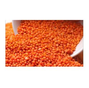 Lentilles rouges allemandes biologiques en vrac, lentilles séchées de qualité supérieure, 25 kg, fournisseur en gros - Product Image 1