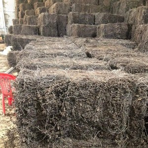 Feuille d'herbe séchée biologique gelée d'herbe noire feuilles bâtons et tiges pour ingrédient de dessert sain - Product Image 4
