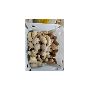 <b>Fresh</b> <b>Ginger</b> for Enhancing Mental Clarity and Focus - Product Image 6