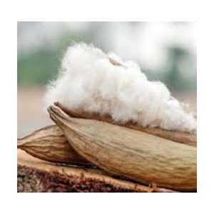 KAPOK POD TIENE UNA GRAN CANTIDAD DE EXPORTACIÓN DE ALTA CALIDAD DE PROVEEDORES VIETNAMES/Sra. Thi - Product Image 4