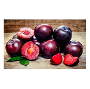 Precio de Venta caliente Frutas frescas Ciruelas a granel - Product Image 3