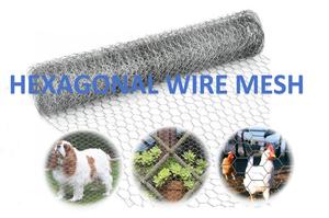 Malla de Alambre Hexagonal Galvanizada de 0.6-0.64 mm x <span class=keywords><strong>3</strong></span>/4'', Rollo de Malla de Alambre de 1/2, Barrera para Animales, Malla para Gallinero, Malla de Alambre Hexagonal - Product Image 4