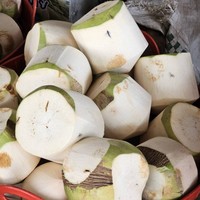 Noix de coco entière jeune thaïlandaise Khey Taladthai, fraîche, avec pulpe sucrée hydratante pour smoothies et usage culinaire, qualité A, 1,2 kg, 18 cm, boîte