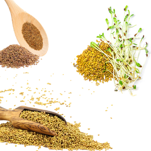 Alfalfa | Cultivo forrajero Premium para rebaños lecheros - Product Image 3