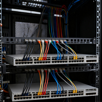 Switch Administrado Cisco Catalyst C9300-48S-A de 48 Puertos SFP Gigabit para Redes de Fibra Empresariales Seguras y Escalables
