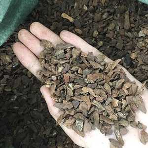 Extracto de corteza de pino, calidad Industrial, corteza de pino pulida, 2,5-4,5cm - Product Image 4