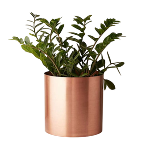 Lot de 2 pots de fleurs et jardinières Vintage doré grand métal jardinière intérieur extérieur plantes vivant Pots décoration pour la maison - Product Image 4