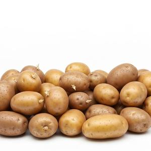 Pommes de terre fraîches de qualité supérieure Pommes de terre en gros de haute qualité idéales pour la cuisson, la friture, la transformation des aliments et la vente au détail - Product Image 2