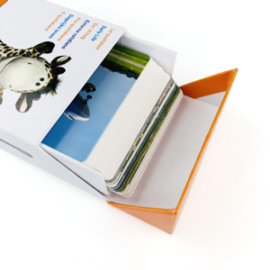 Tùy Chỉnh Chơi Thẻ Bóng Hội Đồng Quản Trị Trò Chơi Thẻ In Ấn Thẻ Flash Cho Trẻ Em Với Cứng Nhắc Hộp Các Tông Bao Bì - Product Image 6