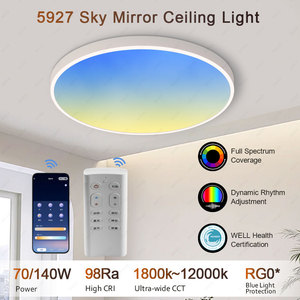 Thích Hợp Cho Nhà Hiện Đại 50W 7500LM Thay Đổi Độ Sáng Ánh Sáng Trần Siêu Mỏng Chuyển Đổi Điều Khiển Bề Mặt Tròn Gắn Tự Nhiên Skylight - Product Image 2