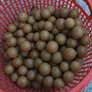 Sweet and Tangy Pickled <b>Limes</b>/Lemons in Brine - Product Image 5