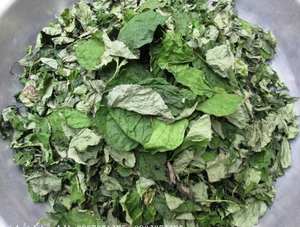 Exportación de gran cantidad de hojas secas de Piper lolot - Product Image 2