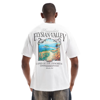T-shirts décontractés pour hommes tendance de l'été, surdimensionnés, 100% coton, col rond, manches courtes, respirants, personnalisables, OEM/ODM