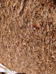 CÁSCARA DE CAMARÓN VIETNAMITA CALIDAD PREMIUM PARA EXPORTACIÓN A GRANEL CON LOS MEJORES PRECIOS Y SUMINISTRO CONFIABLE - Product Image 4