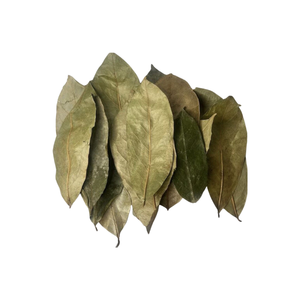 PRECIO BAJO DE HOJA DE URENSA SECA Y HOJA DE URENTA SECA DE CALIDAD PREMIUM - Product Image 3