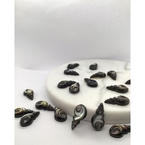 Perlas de Concha Negra MOP - Product Image 2