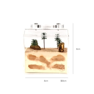 รังนกอะคริลิก3D ขนาดเล็กแบบอียิปต์มดเอ็มไพร์เป็นมิตรกับสิ่งแวดล้อมและทนทานสำหรับห้องนั่งเล่น - Product Image 2