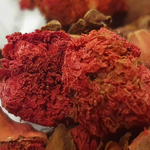 Vente en gros de fleurs séchées en vrac 100% naturelles de haute qualité Parfum naturel 2025 fleurs séchées de grenade Service OEM - Product Image 3