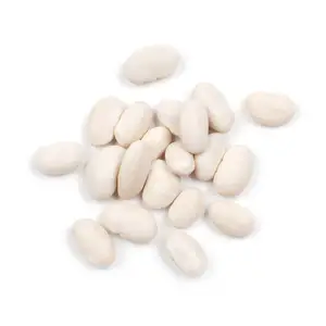 Terbaik beli produk pertanian jumlah besar kacang ginjal putih Mesir kering/Kacang Alubia/Kacang biru laut untuk pembeli grosir