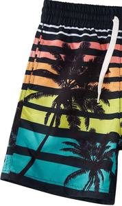 Factory Supply Quick Dry Men's <b>Beach</b> <b>Shorts</b> Casual Printed Swimwear with Underpants for Men and <b>Women</b> - Product Image 2
