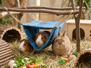 Small Animal Tunnel <b>Hammock</b> L 28cm – Durable Hanging Tunnel Bed for <b>Hamsters</b>, Ferrets, Rats, Chinchillas, Guinea Pigs - Product Image 3